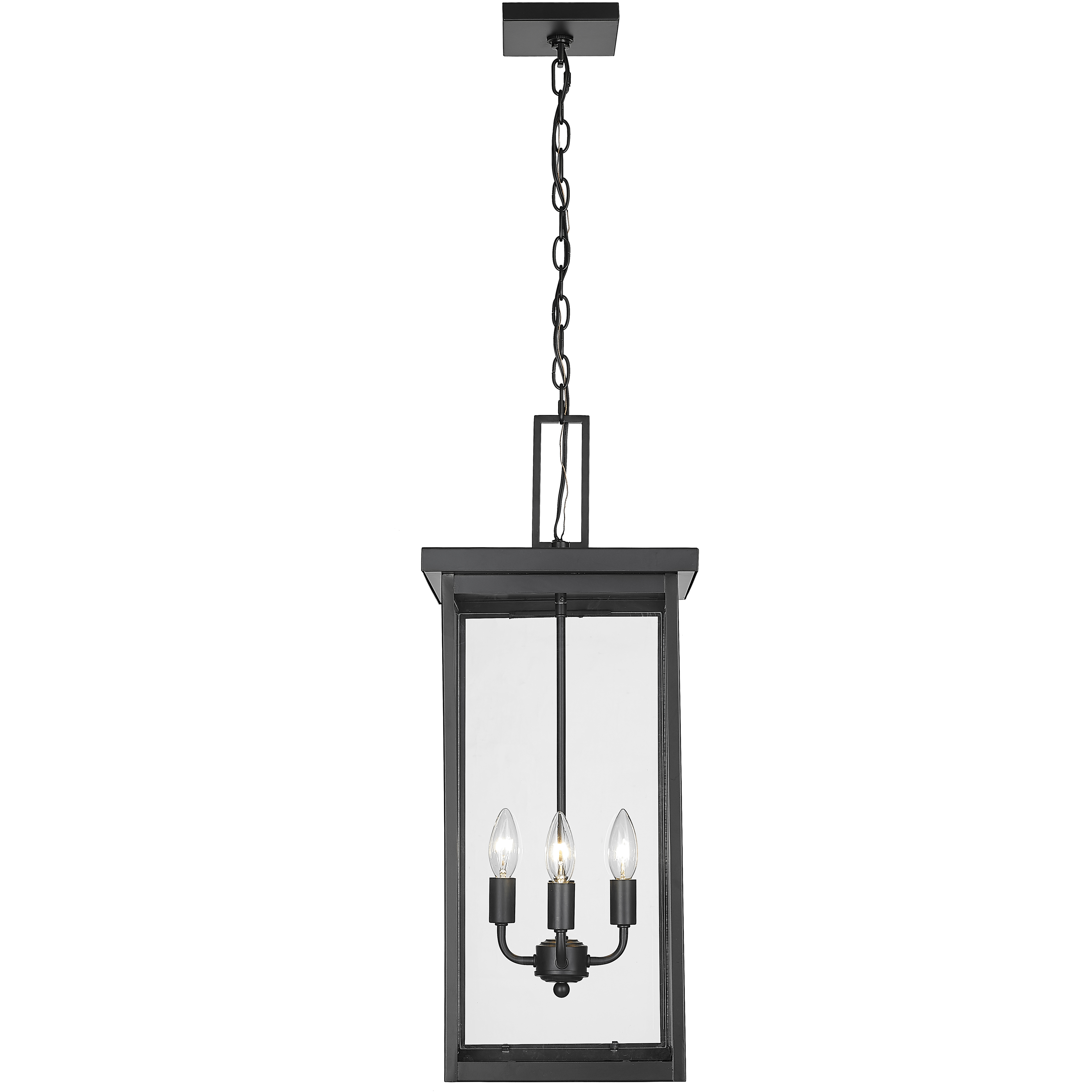 Barkeley 4 Light 11 inch Powder Coated Black Outdoor Hanging Lantern